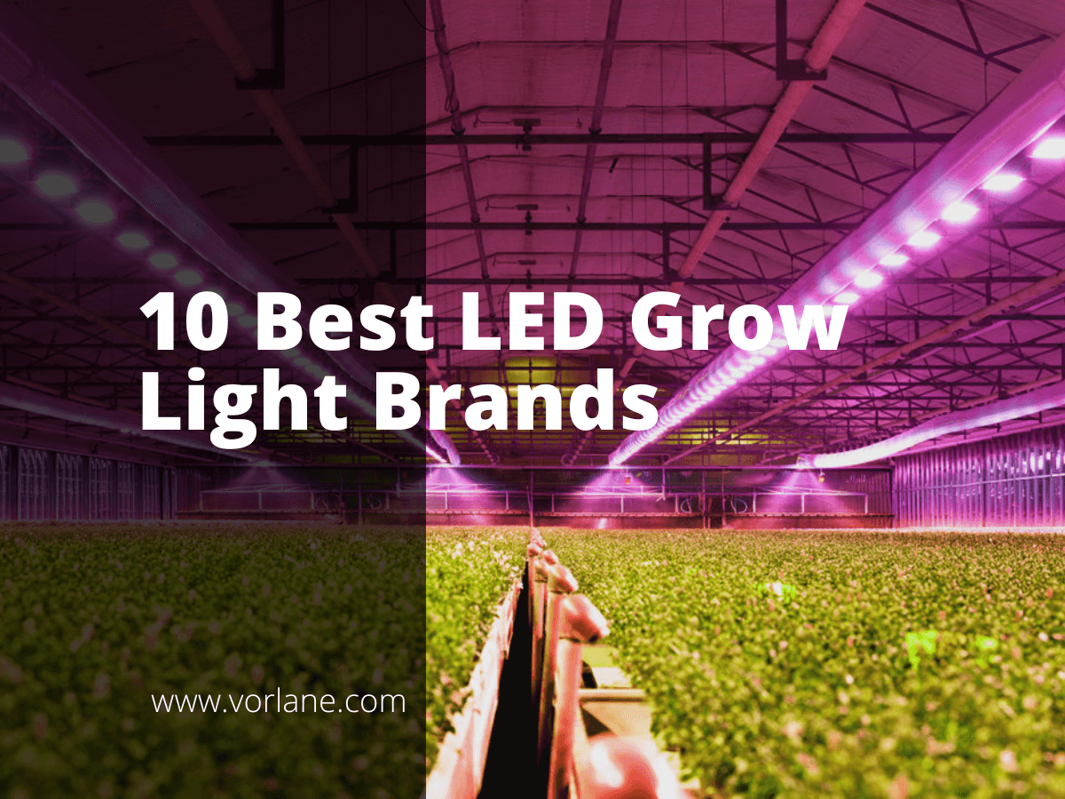 Feature image - 10 Best LED Grow Light Brands [ May 2026 ] - Vorlane