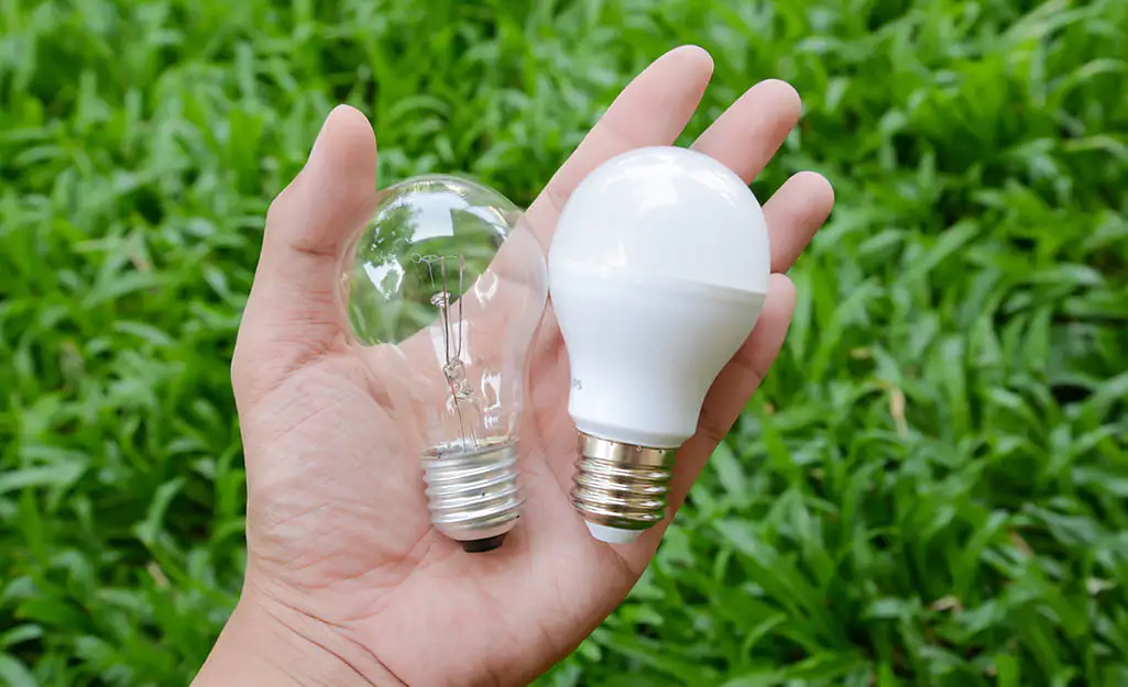 A person holding LED and incandescent light bulbs showcasing the difference between the two lighting technologies - What Is The Difference Between LED And Incandescent Lighting? - Vorlane - Vorlane